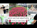 КРУТЫЕ ОБНОВКИ/уборка/рутина/готовим со мной