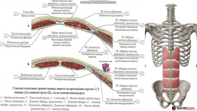 Үлкен табиғи сиськи бар қыздардың қатысуымен орыс порно