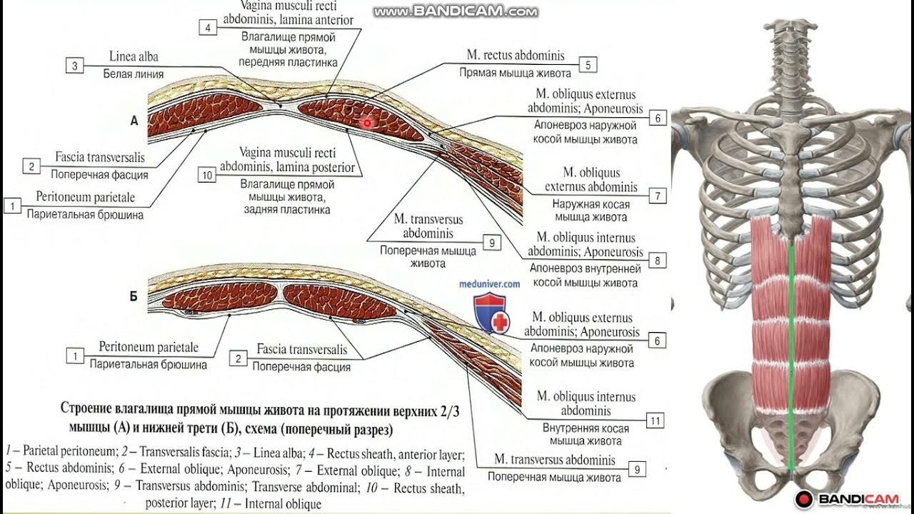 Шұлықтағы сексуалды аяқтардың видеосы
