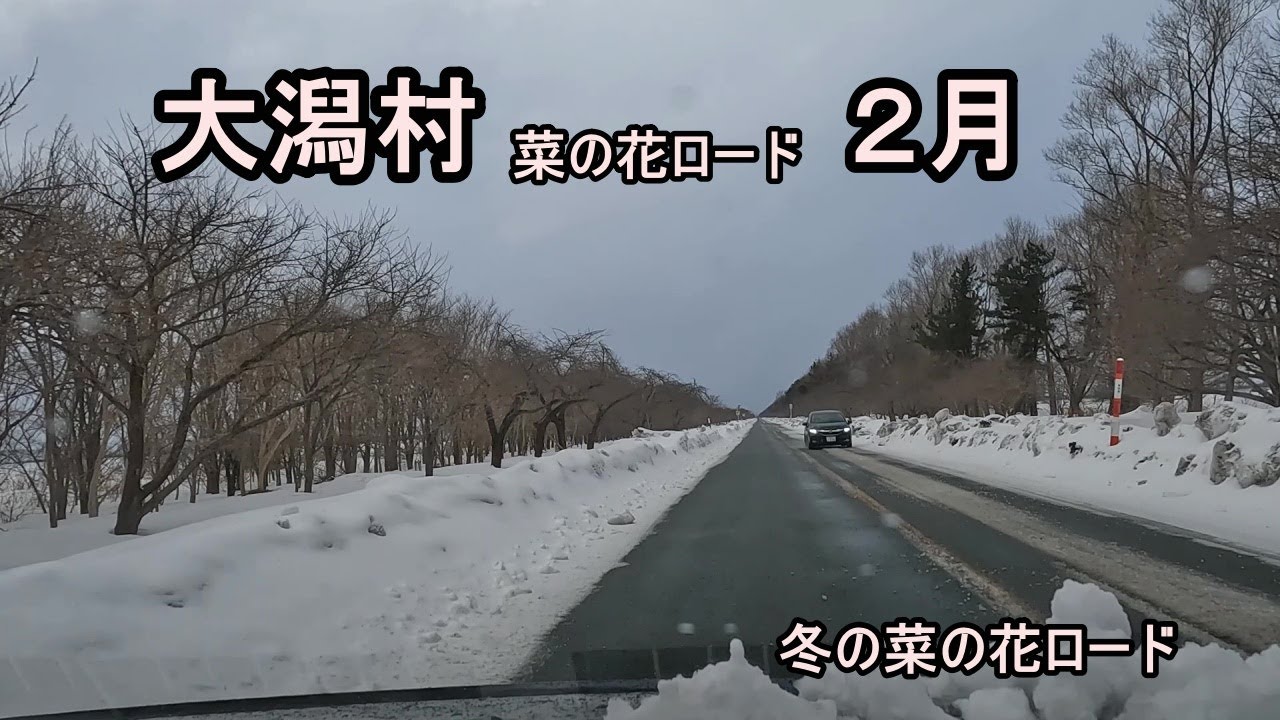 菜の花ロード 大潟村２月 Youtube