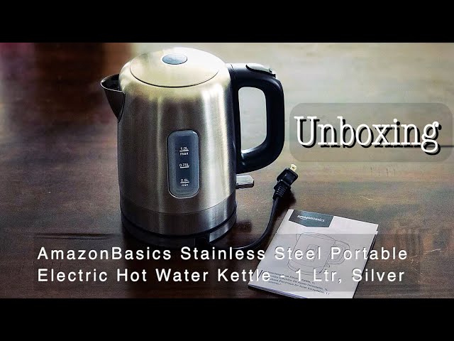   Basics Stainless Steel Portable Fast, Electric