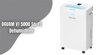 DGUAM V1 5000 Sq Ft Dehumidifier Review | Quiet, Energy Efficient Moisture Control!
