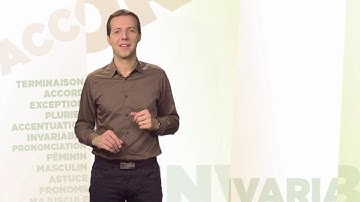 Différentes écritures du préfixe in - Orthodidacte.com