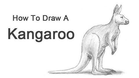How to Draw a Kangaroo