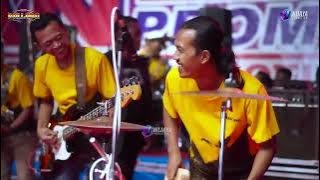 Gang Dolly Brodin Ft New Pallapa Live Lap Lebaksono Pungging Mojokerto