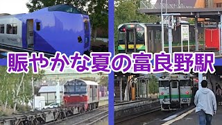 賑やかな夏の富良野駅【JR北海道/根室本線】