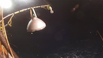 CÂU MỰC CÔN ĐẢO - Chuyến Câu Mực Lớn P17 |Câu Mực Biển Tây #65