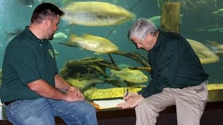 TWRA Fisheries Chief Verifies New Record Bass
