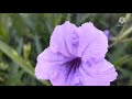 VLOG #22 Saan ba nanggagaling ang Insecurities? Part 2 #confidence #fear #happiness #stories
