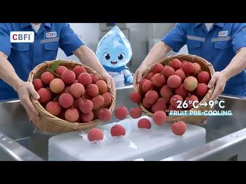 【EN】Full-Chain Fruit \u0026 Vegetable Cold Storage Solutions | CBFI Fluidized IQF \u0026  Pre-Cooling