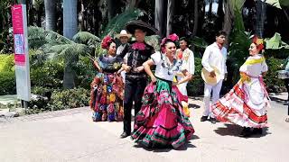 Carnaval   jardines  de México  2019