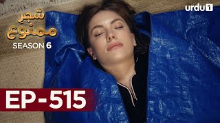 Shajar-E-Mamnu Episode 515 Turkish Drama Forbidden Fruit Urdu Dubbing 3Rd January 2023