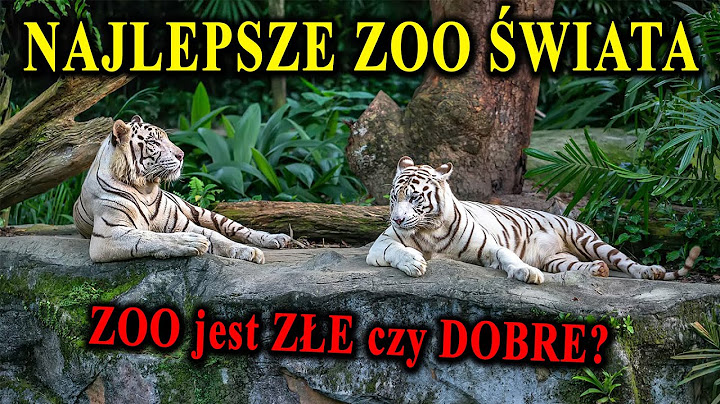 Najciekawsze Ogrody Zoologiczne Świata - Czy ZOO Jest Złe czy Dobre?