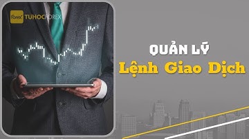 Robot Quản Lý Vốn Forex: Tự Động Cắt Lỗ & Chốt Lời Theo % Tài Khoản
