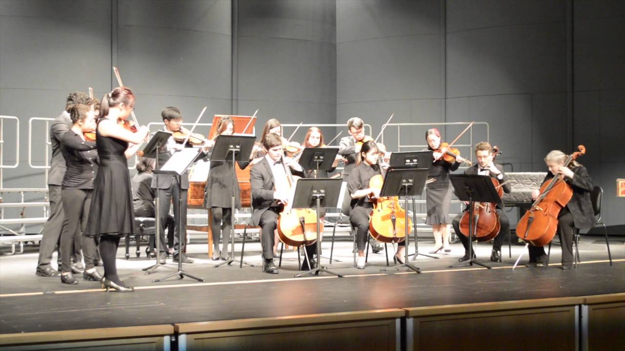 vivaldi concerto for two cellos vivaldi concerto for two cellos