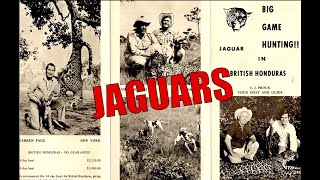 CJ Prock: JAGUAR LION HUNTER  Warriors Of El Gato