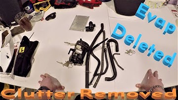 CRF250L Evap Canister Removed Entirely - Clutter Gone! | Additional Mods Performed & Coming Soon!