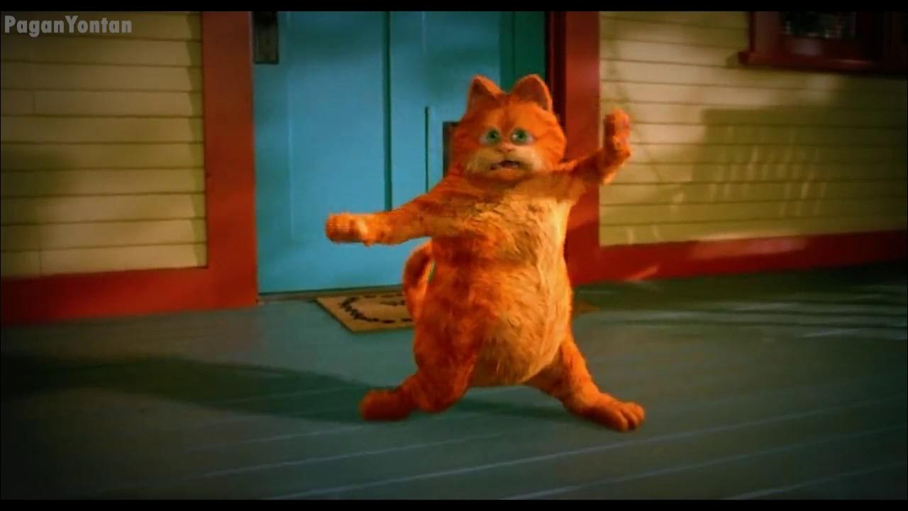 Кот танцует под песню