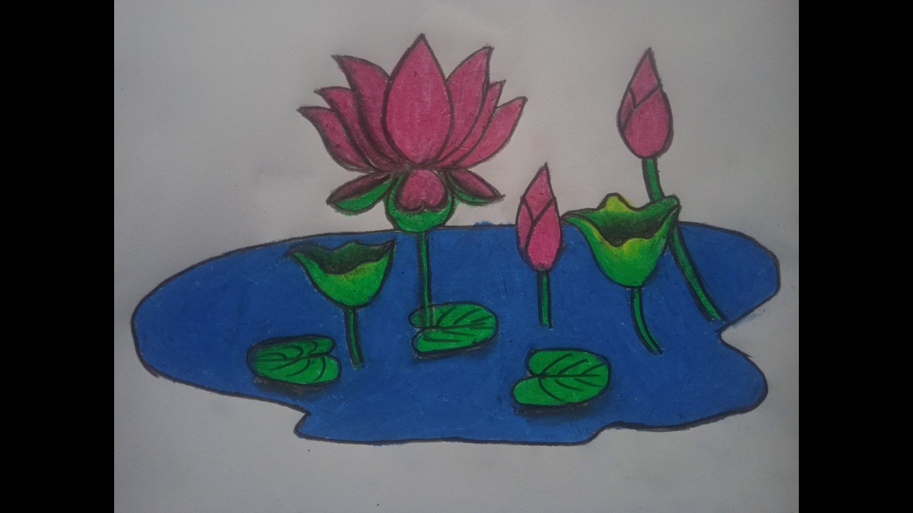 কাদার মাঝেও ফুটে ওঠে সৌন্দর্য। Kadar majheo phute uthe shundorjo