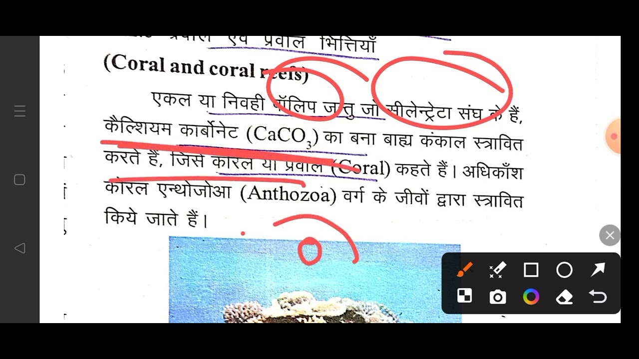 जंतुओं के आर्थिक महत्व economic importance of animals