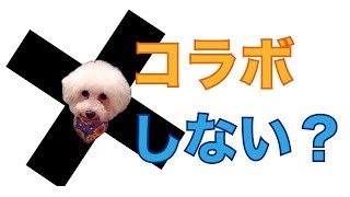 トレーナー・インストラクター・ブロガー・YouTuberの方でコラボレーション出来る人を大募集中！