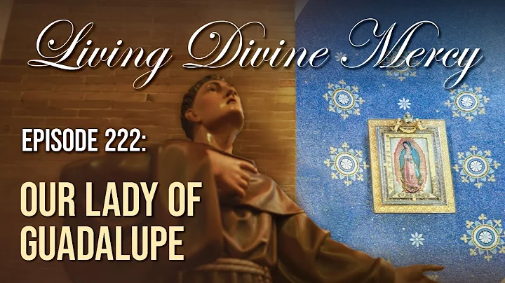 Our Lady of Guadalupe - Living Divine Mercy (EWTN) Ep. 222 w/ Fr. Chris Alar, MIC