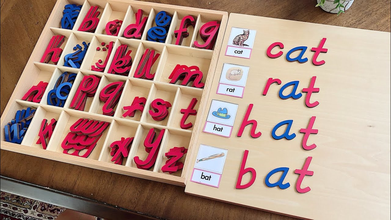 Moveable alphabet - Montessori Language