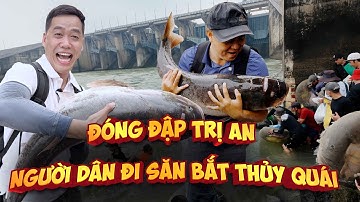 Đóng Đập Trị An, Người dân đi săn bắt thủy quái, kiếm tiền triệu