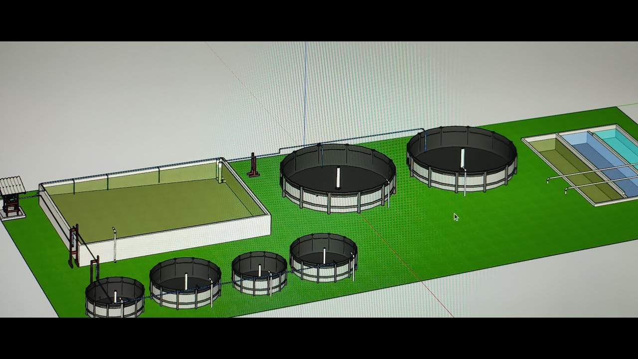 1,4 Toneladas mês !!! Projeto que todo piscicultor gostaria de ter.