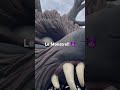Le Monstre at La Ronde in Montreal, Canada 🇨🇦