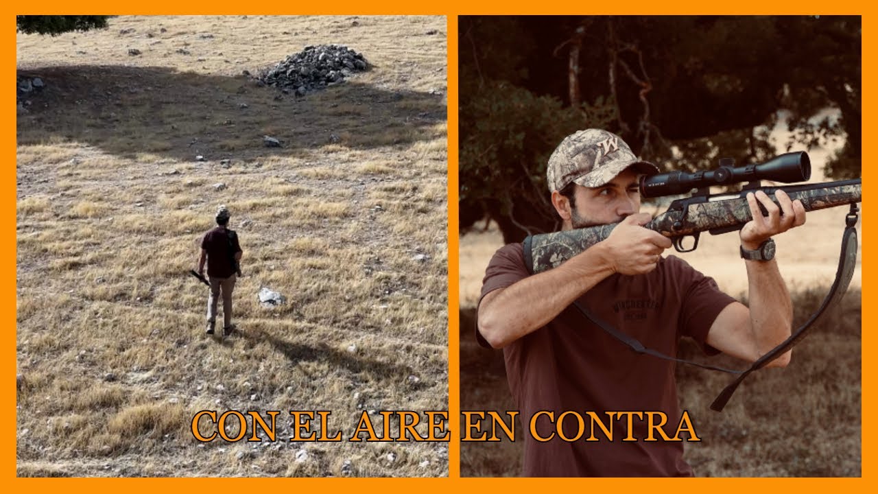 Esperas a jabalí VII -Con el aire en contra- Todocaza