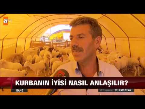 Video: Kayma Kurbanı Olmaktan Nasıl Kaçınılır