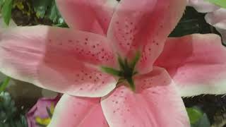 WINDOW SHOPPING/RAMLI MALL screenshot 1