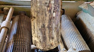 Sawmill Wood Cutting | Extreme Wood Working Factory