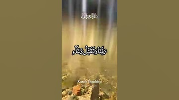 ربي إجعلني مقيم الصلاة 🤲حالات واتس اب قرآن كريم/عبد الباسط عبد الصمد/سورة إبراهيم/Quran Status 🌿🌹