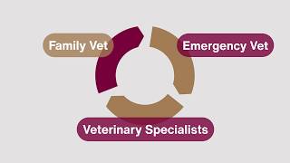 Continuum of Care