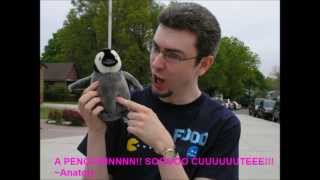 Ryan's Funny Random Lost Photo Video