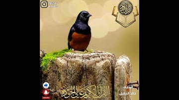 وقالوا لجلودهم لما شهدتم علينا | الشيخ خالد الجليل | تلاوة مبكيه تخشع لها القلوب