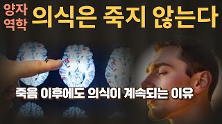 죽음 이후에 의식은 어떻게 될까? 양자역학적 해석