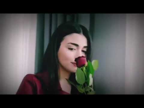 وشما كبر بيه العمر اكثر يزيد اجنوني حالات واتس اب ستوريات انستا بظون حقوق