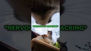 Aint No Way This Happen