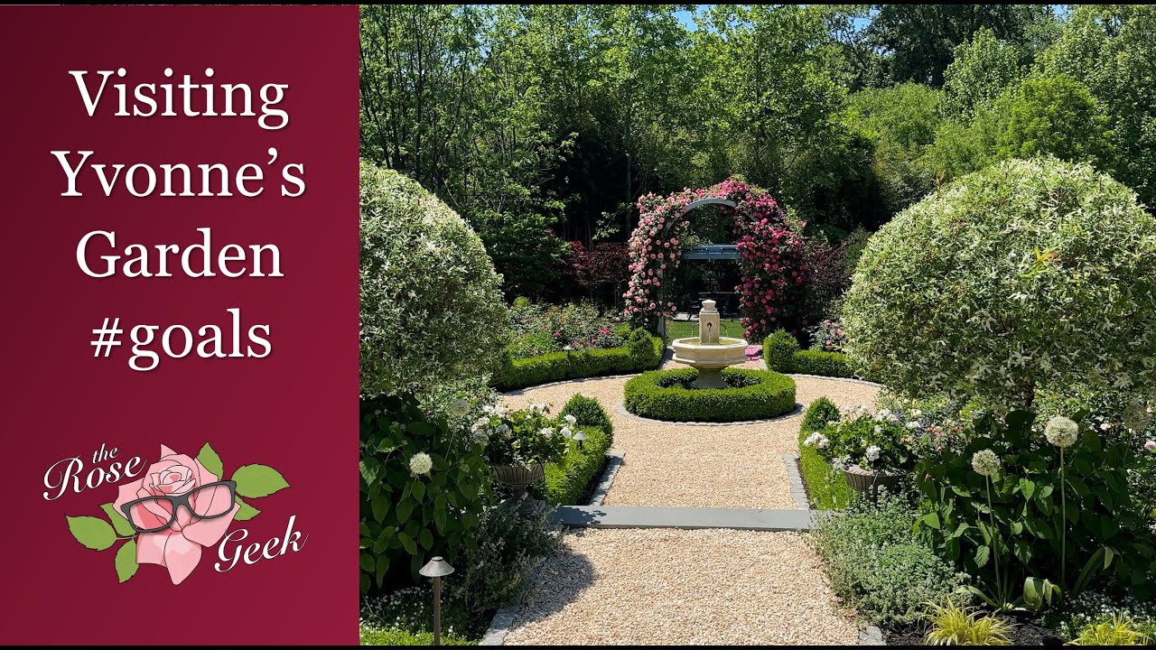 🌹 Tour of My Friend's Perennial Garden | Wow! | Fountains, Japanese Garden w/ Stream, White Garden