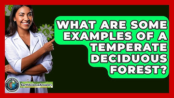 What Are Some Examples Of A Temperate Deciduous Forest? - Earth Science Answers