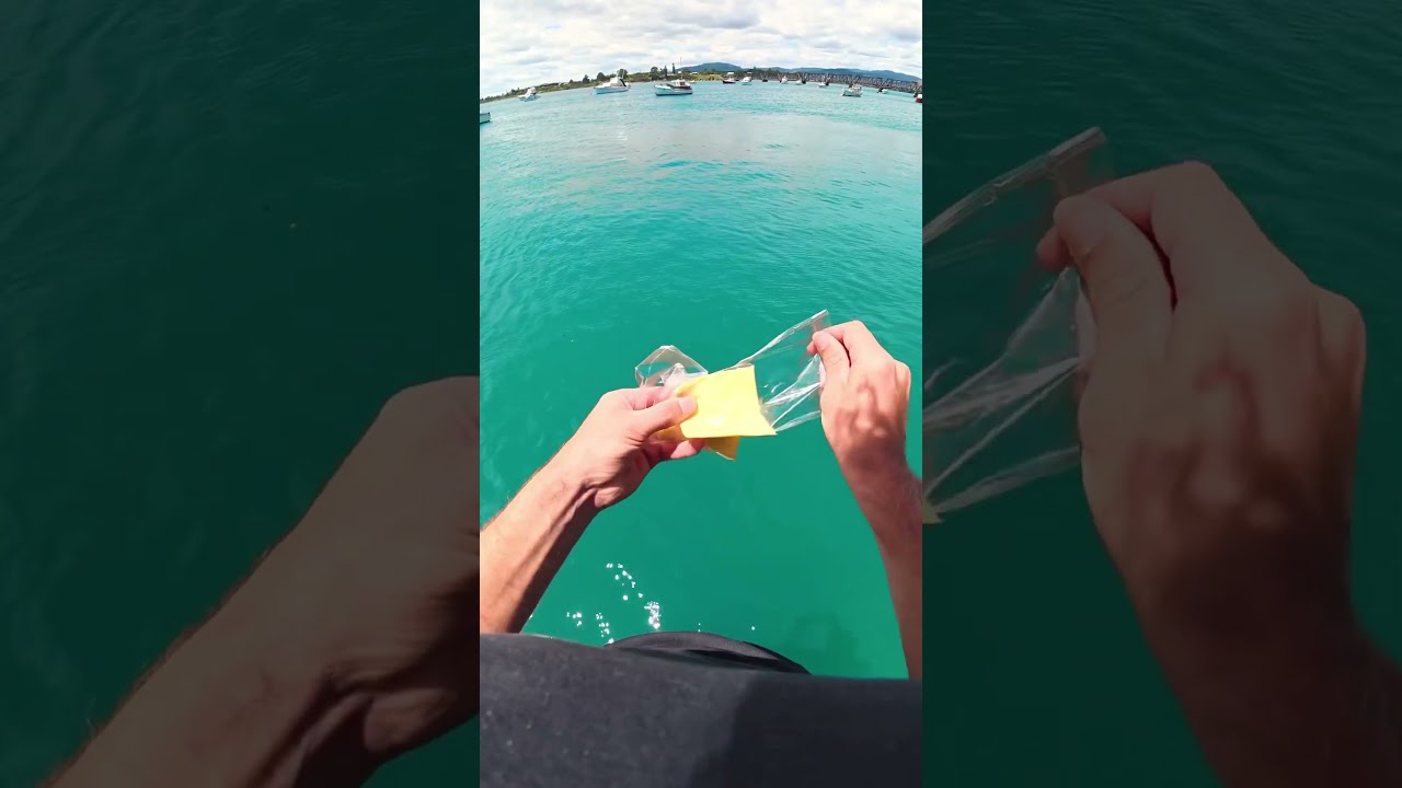 This Guy Saw A Shark but... 😱
