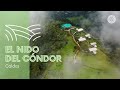 Cómo y dónde es el nido del Cóndor en Colombia?