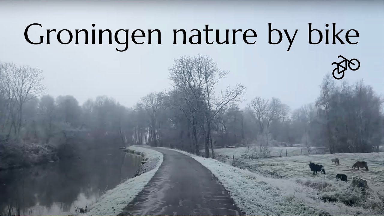 HOORNSEMEER & PATERSWOLDSEMEER by bike! Amazing bikeride in a cosy WINTER setting. GRONINGEN finest!