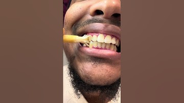 Rediscovering the power of natural oral care with miswak sticks