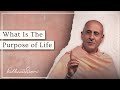 What Is The Purpose Of Life? | His Holiness Radhanath Swami