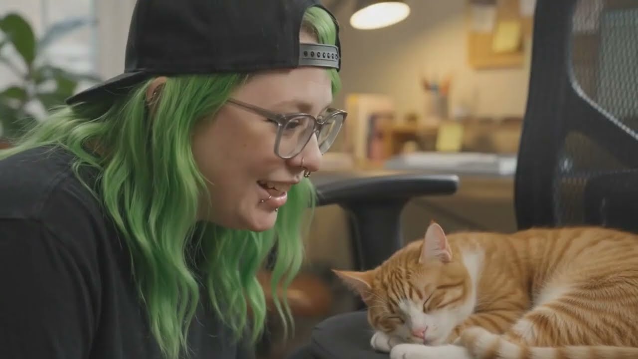 Guarda Oliver T Kitty 🐱🎸 The Greatest Kitty Rocker! Funny Cat Music Video su YouTube Guarda Oliver T Kitty 🐱🎸 The Greatest Kitty Rocker! Funny Cat Music Video su YouTube