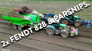 4Kᵁᴴᴰ March 2024: Harvesting parsnips in Suffolk. Fendt 828 Vario ASA-Lift & Jones Engineering